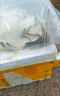 大草魚(yú)苗淡水養殖半斤一斤20厘米活體皖魚(yú)螺螄青魚(yú)苗可食用觀(guān)賞冷水魚(yú)小魚(yú)苗特大草魚(yú)魚(yú)苗批發(fā) 優(yōu)質(zhì)草魚(yú)苗 45條8-10厘米(加5條防損) 曬單實(shí)拍圖