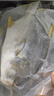 翔泰 海南金鯧魚凈重900g 2條裝  魚類生鮮 燒烤 火鍋食材 海鮮水產(chǎn) 曬單實(shí)拍圖