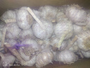 千封河南2025新蒜新干蒜多瓣蒜大蒜頭紫皮大蒜批發(fā) 大蒜特大果 9斤 曬單實拍圖