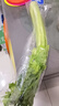  大芹菜約400g 曬單實拍圖