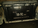 駱駝駱駝蓄電池6-QWLZ-120電瓶12V120AH農用機械車(chē)客貨車(chē)啟動(dòng)型免維護 駱駝2S強勁款【12V120AH】 曬單實(shí)拍圖