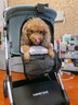 beberoad  T4寵物手推車 貓咪狗狗小型犬提籃車架一鍵折疊輕便外出小推車 T4綠色-固定座位一體折疊 曬單實拍圖