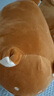 名創(chuàng)優(yōu)品（MINISO）柴犬系列毛絨公仔趴姿玩具娃娃抱枕睡覺室內(nèi)臥室辦公室生日禮物 曬單實(shí)拍圖