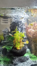 魚(yú)呼吸魚(yú)缸水族箱增氧泵用氣泡石沙頭配件輕音 【氣泡石1個(gè)裝】附配件 曬單實(shí)拍圖