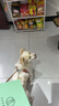 麥富迪狗糧 無谷牛肉雙拼狗糧成犬小型犬比熊貴賓緩解淚痕 1.5kg 曬單實(shí)拍圖