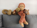 Jellycat斯溫利野豬動(dòng)物毛絨玩偶公仔娃娃安撫玩具2025秋冬新品 棕色 One Size 曬單實(shí)拍圖