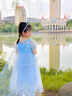 G.DUCKKIDS小黃鴨女童連衣裙夏季新款冰雪兒童愛莎公主裙網(wǎng)紗女孩蓬蓬表演裙 藍色+披風 100 尺碼2~3歲【 90-100cm】 曬單實拍圖