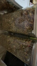 Rodipet德國羅迪佩特 金絲熊長毛有機倉鼠糧 天然草本 美毛寵物飼料 （老年版27/2） 500g 曬單實拍圖
