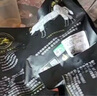 天萊香牛有機(jī)健康牛腿肉500g可溯源低溫排酸生鮮牛肉新疆清真【真原切】 曬單實(shí)拍圖