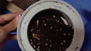 DIY種植桶食用菌盆栽菌包種蘑菇平菇家庭陽臺(tái)蘑菇種植菌種 雙孢菇桶裝撒土種植 曬單實(shí)拍圖