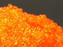 江船長 飛魚籽 壽司專用材料新鮮大粒魚籽60g 玻璃罐裝    曬單實(shí)拍圖