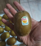 佳沛（zespri）新西蘭  陽光金奇異果25-27粒原箱特大果單果約122-146g  獼猴桃 曬單實(shí)拍圖