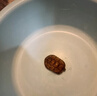 白玉草龜頂墨苗寵物小烏龜活體一公一母中華草龜白化觀(guān)賞墨龜家養 1厘米 頂墨1只公龜 曬單實(shí)拍圖