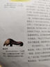 優(yōu)衣庫童裝女童UT Sanrio連帽衛(wèi)衣長袖凱蒂貓運動衫25新款480021 01 乳白色 120 曬單實拍圖