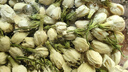 福茗源 花草茶 茉莉花苞罐裝100g廣西橫縣三伏晴天茉莉花茶干花蕾養(yǎng)生茶 曬單實(shí)拍圖
