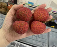果益壽無(wú)核荔枝【JD/順豐多地隔日達(dá)】海南荔枝新鮮水果送禮 凈重2.5-3斤丨大果20-24顆/斤 曬單實(shí)拍圖