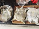 品鮮肴【活鮮】外湖野養(yǎng)生態(tài)甲魚 中華鱉團魚老鱉公鱉 現(xiàn)捕鮮活生鮮水產(chǎn) 優(yōu)質(zhì)公鱉 約1250g/只 （2.5斤） 曬單實拍圖