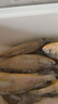 滋百尚舟山野生小黃魚(yú)新鮮冷凍海鮮黃魚(yú)燒烤夜宵食材海捕深海魚(yú) 【特大號 3斤】約8-10條/斤 曬單實(shí)拍圖