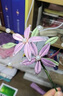 喆煒纏花材料包 非遺纏花發(fā)簪手工diy絨絲線(xiàn)材料包紙模免裁剪新手一整套古風(fēng)頭飾 豪【102件】38色絲絨+24款頭飾+材料集 非遺纏花diy頭飾（袋子包裝） 曬單實(shí)拍圖