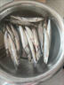 多春魚(yú)新鮮滿(mǎn)籽新鮮多籽魚(yú)帶籽冷凍肉質(zhì)細嫩鮮活毛鱗魚(yú)柳葉魚(yú)海魚(yú) 500g(1斤1包) 家庭下酒菜 超大【12-16厘米】滿(mǎn)籽8斤 曬單實(shí)拍圖