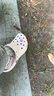 卡駱馳（crocs）洞洞鞋女 時尚經(jīng)典云朵Clog緩震舒適透氣休閑鞋206750-6URW7 曬單實拍圖