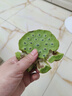 remax睿量【冰瓷制冷16℃】掛脖風(fēng)扇便攜式隨身制冷空調(diào)超長續(xù)航無葉靜音電風(fēng)扇戶外運(yùn)動(dòng)usb頭戴小風(fēng)扇 曬單實(shí)拍圖