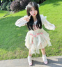 閃動少女（SHANDONGSHAONV）jsk洛麗塔lolita仙氣公主連衣裙生日禮服蘿莉 綠色jsk+大拖尾【+飛機盒】 S (55斤到85斤) 曬單實拍圖