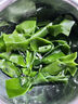 鮮海帶 鹽漬海帶結(jié) 海帶扣片火鍋食材涼拌海洋蔬菜 鹽漬海帶結(jié)500g 曬單實(shí)拍圖
