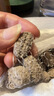 原礦橄欖球濾材魚缸底濾周轉箱細菌屋滴流盒背側上濾專用過濾材料 魚缸過濾橄欖球-1斤 曬單實拍圖