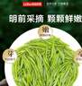 樂品樂茶茶葉綠茶特級毛尖2025新茶明前春茶嫩芽冷泡茶解暑250g送禮品袋 曬單實拍圖