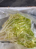 綠食者 新鮮黃心苦菊250g 苦葉生菜苦苣生菜 苦細(xì)葉 西餐沙拉蔬菜食材 曬單實(shí)拍圖
