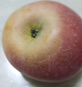 爾蝶山西運(yùn)城冰糖心蘋果新鮮當(dāng)季水果紅富士丑蘋果脆甜整箱時(shí)令水果 9斤裝 精選大果80-85mm凈重8.5斤 曬單實(shí)拍圖