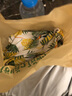 純爾挪威三文魚(yú)可生食刺身200g背部 + 200g魚(yú)腩 源頭直發(fā)  曬單實(shí)拍圖