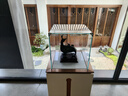 周鼎仿古青銅器 馬踏飛燕~銅馬擺件工藝品純銅甘肅銅奔馬客廳裝飾禮品 高28 曬單實(shí)拍圖