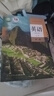 新華書店新版人教版高中英語必修第一冊人民教育出版社高一上冊英語書高中教材普通高中英語必修一英語課本高中英語必修一1 曬單實(shí)拍圖
