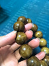 穆百年金絲楠木手串 男女款高密水波紋小葉楨楠佛珠單圈文玩手鏈 約20mm 曬單實拍圖