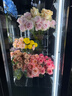 頂邦鮮花保鮮柜花店商用大容量風(fēng)冷冷藏柜水果飲料鮮花展示柜【三門(mén)搭配款左平層】 三門(mén)鮮花柜（左平層+中平層+右花墻） 曬單實(shí)拍圖