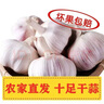 25年干蒜大蒜新鮮蒜 原產(chǎn)地農家整箱糖蒜臘八蒜時(shí)令蔬菜半價(jià) 3斤(凈重2.8斤) 4.0-5.0cm中果 曬單實(shí)拍圖