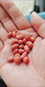 2025年新紅皮花生新貨紅衣農家四粒紅花生仁新鮮紅皮生農家花生 生5斤紅皮花生米 曬單實(shí)拍圖