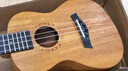 DODOMI尤克里里單板23寸26初學(xué)者兒童入門ukulele學(xué)生成人女小吉他樂器 21寸原木色+教程書 曬單實(shí)拍圖