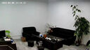 域云家用攝像頭手機遠程監控器360度無(wú)死角帶夜視全景語(yǔ)音自動(dòng)旋轉可對話(huà)室內外看老人小孩寵物監控1 高清單鏡頭人形跟蹤+報警+手機遠程對講 WIFI標準版+送云存儲3天【自購內存卡方可本地】 曬單實(shí)拍圖