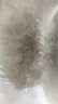 土鯽鯽魚(yú)苗工程鯽湘云鯽大板大品種中科五號淡冷水養殖活體草魚(yú)苗 土鯽2-3厘米500條多發(fā)20%防損 曬單實(shí)拍圖