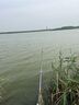 小鳳仙一體式新手套裝魚(yú)線線組魚(yú)鉤浮漂魚(yú)漂子線綁好雙鉤主線子線四件套 日夜款6.3M套裝(1漂+2線+10付鉤) 中型魚(yú)類(lèi)適用套裝 曬單實(shí)拍圖
