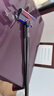 戴森（DYSON）V8無繩吸塵器【升級款】手持無線吸塵器 除螨 寵物 家庭適用 曬單實拍圖