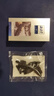 海晏堂 大連淡干海參 100g 16-24只 遼刺參 海參干貨禮盒 送禮 曬單實拍圖