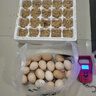 守山翁新鮮土雞蛋 農家散養鮮雞蛋初生蛋 現撿現發(fā)柴雞蛋 單枚40g左右 20枚 曬單實(shí)拍圖