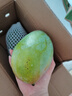 京鮮生 攀枝花凱特芒果 凈重4.5斤 單果600g 水果 源頭直發(fā)【搜生鮮館】 曬單實(shí)拍圖