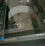 美的（Midea）波輪洗衣機(jī)全自動(dòng)家用 MB10V37T 10公斤 一級(jí)能效 健康除螨 全域抗菌  以舊換新 家電國(guó)家補(bǔ)貼20% 曬單實(shí)拍圖