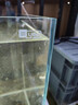 YEE魚(yú)缸超白玻璃裸缸客廳小型桌面水草造景觀(guān)賞魚(yú)烏龜缸3040生態(tài)方缸 【裸方缸】6MM超白玻璃35*35*35cm 曬單實(shí)拍圖