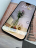 笛曼【360°防窺膜德國(guó)進(jìn)口】適用蘋果16Promax鋼化膜iPhone15手機(jī)防窺膜pro護(hù)眼防偷窺屏抗防塵貼膜 2片裝【360全面防窺】淺色護(hù)眼丨德國(guó)進(jìn)口 蘋果16Promax 曬單實(shí)拍圖
